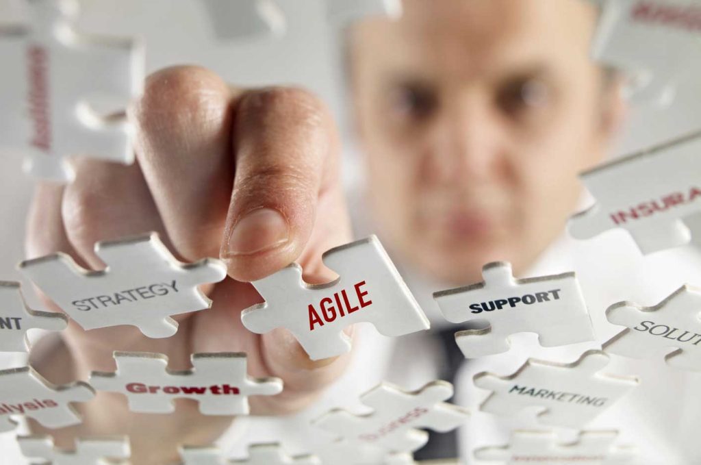 Becoming Agile in a Disruptive World: A Guide to Success – Qando Qoaching