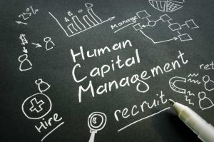 Components-of-Human-Capital-Management