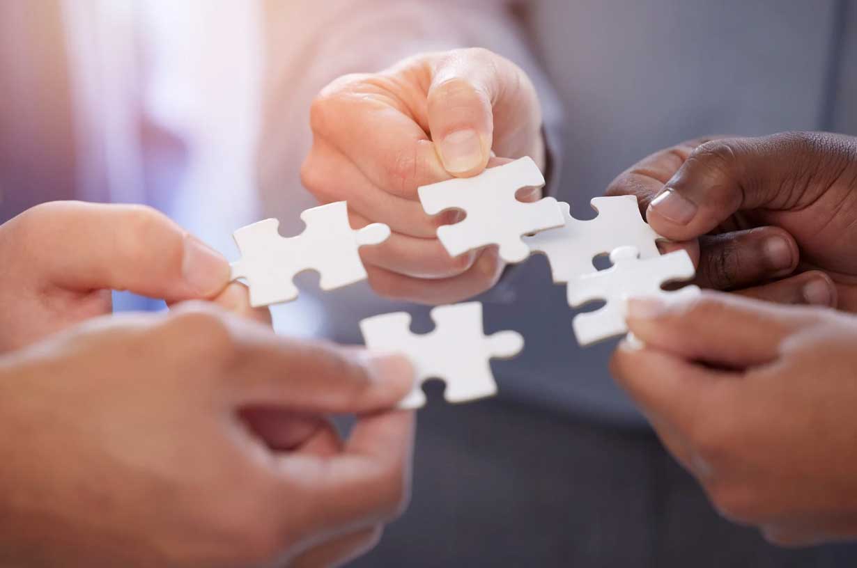 Team Development with Harrison Assessment: Optimizing Potential and Performance