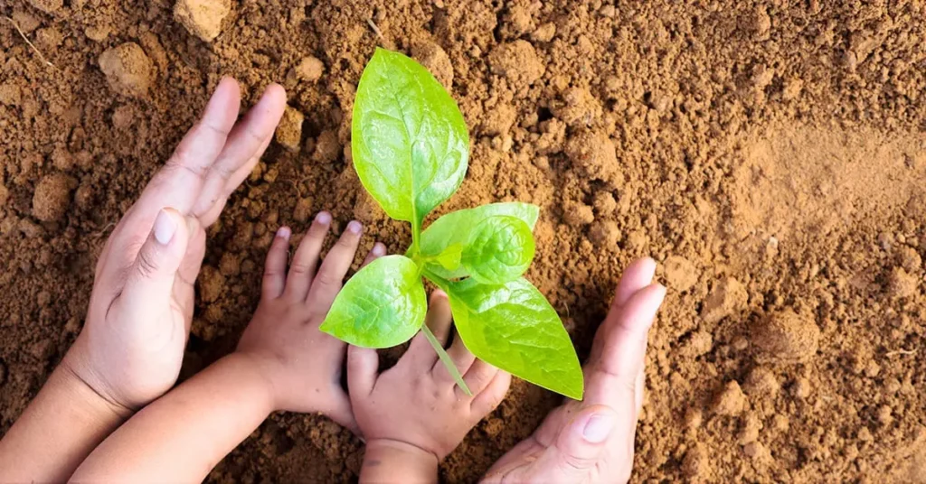 cpp-life-insurance-is-an-easy-way-to-create-a-legacy