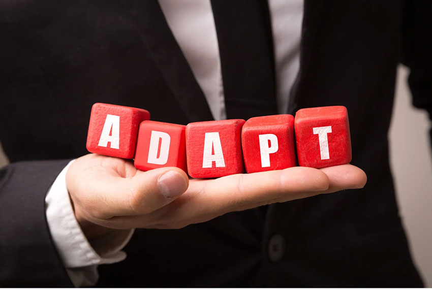 Role-of-HR-in-Building-an-Adaptive-Workforce
